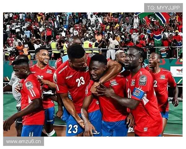 非洲杯扩军二十八队退赛风波起