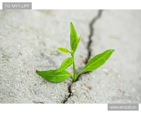 困境中的巨人 谁在为生存挣扎